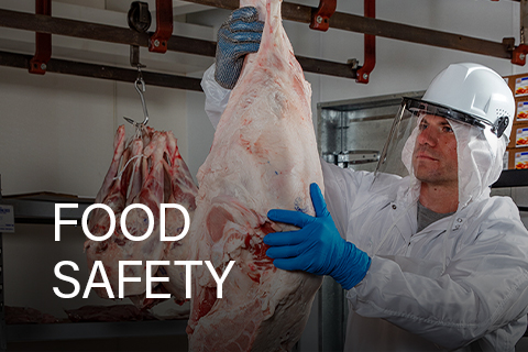 food safety banner