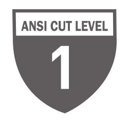 old ANSI shield